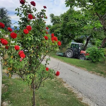 公寓 Grosses Mit 2 Schlafzimmer Fuer 4 Personen *