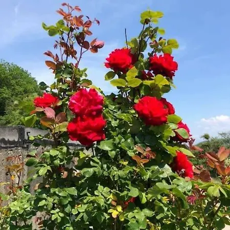 Apartment Großes Mit 2 Schlafzimmer Für 4 Personen *
