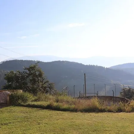 Grosses Mit 2 Schlafzimmer Fuer 4 Personen 公寓 Granitztal-Weissenegg