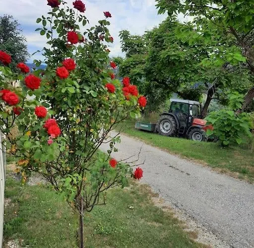 Apartament Grosses Mit 2 Schlafzimmer Fuer 4 Personen *