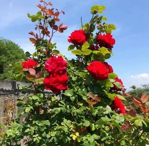 דירה Grosses Mit 2 Schlafzimmer Fuer 4 Personen *