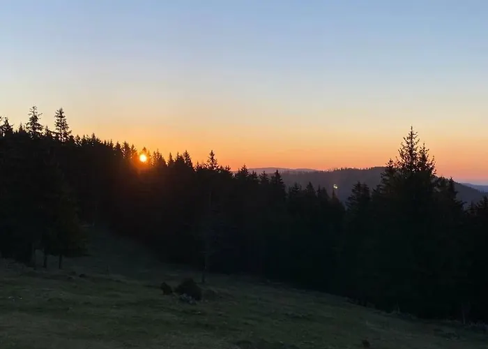 Apartament Grosses Mit 2 Schlafzimmer Fuer 4 Personen *